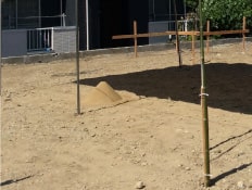 お礼用青竹